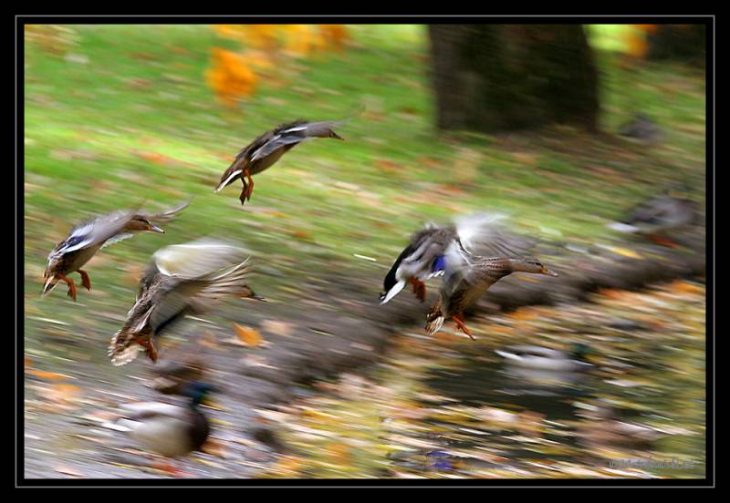 mojabudowa.pl - blog budowlany